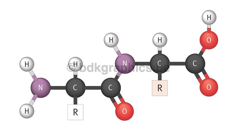 Een diagram dat de structuur van een molecuul laat zien.