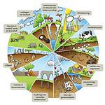 A diagram showing different types of soil.