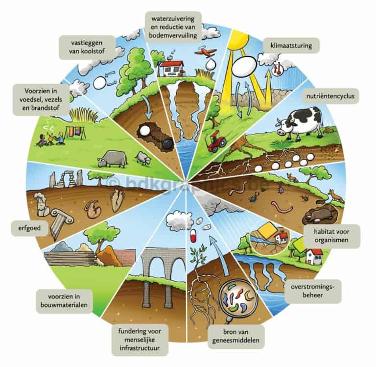 A diagram showing different types of soil.