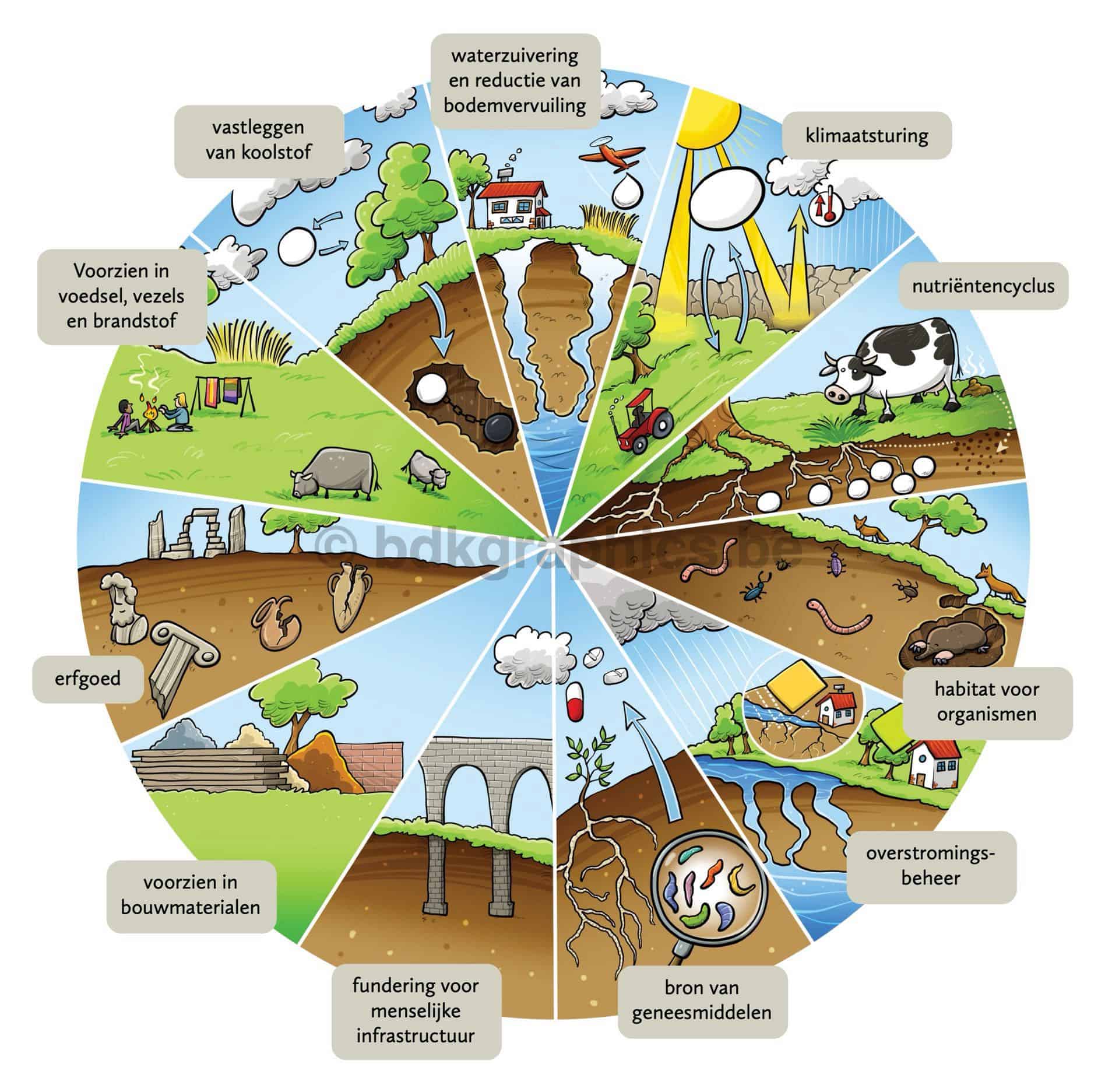 Een diagram met verschillende soorten grond.