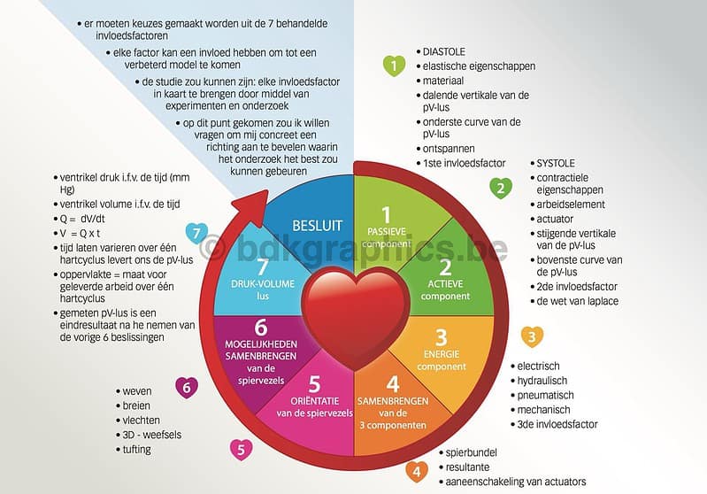 Een diagram dat de stadia van een hart toont.