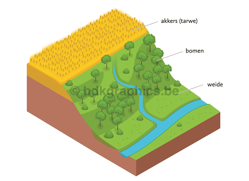 Een isometrisch diagram van een rivier en een boom.