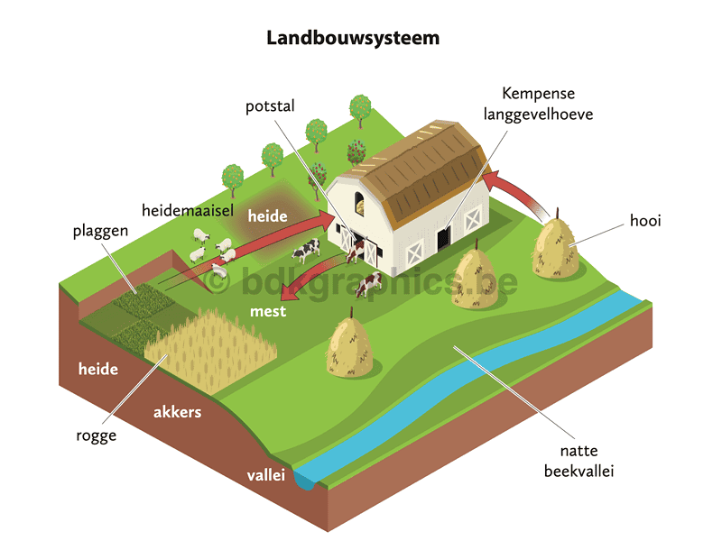 Een diagram dat de structuur van een boerderij toont.