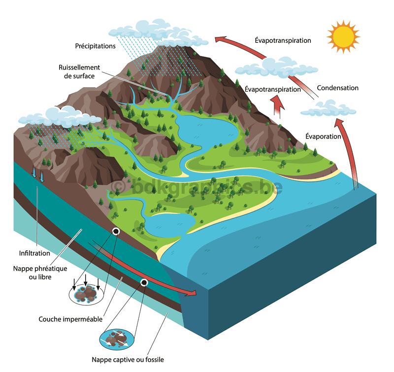 Een diagram dat de watercyclus laat zien.