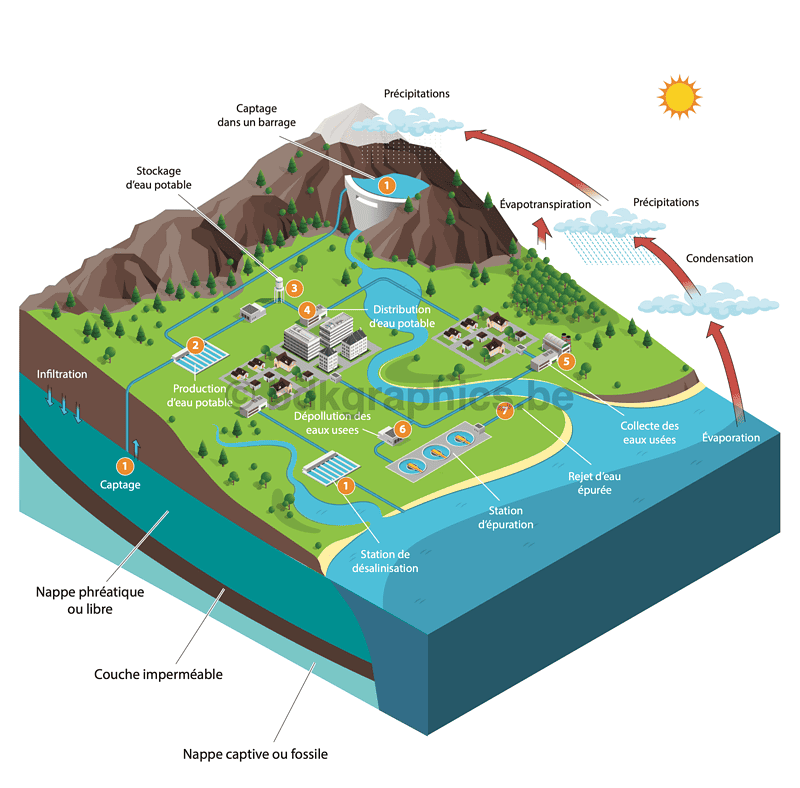 Een diagram dat de watercyclus laat zien.