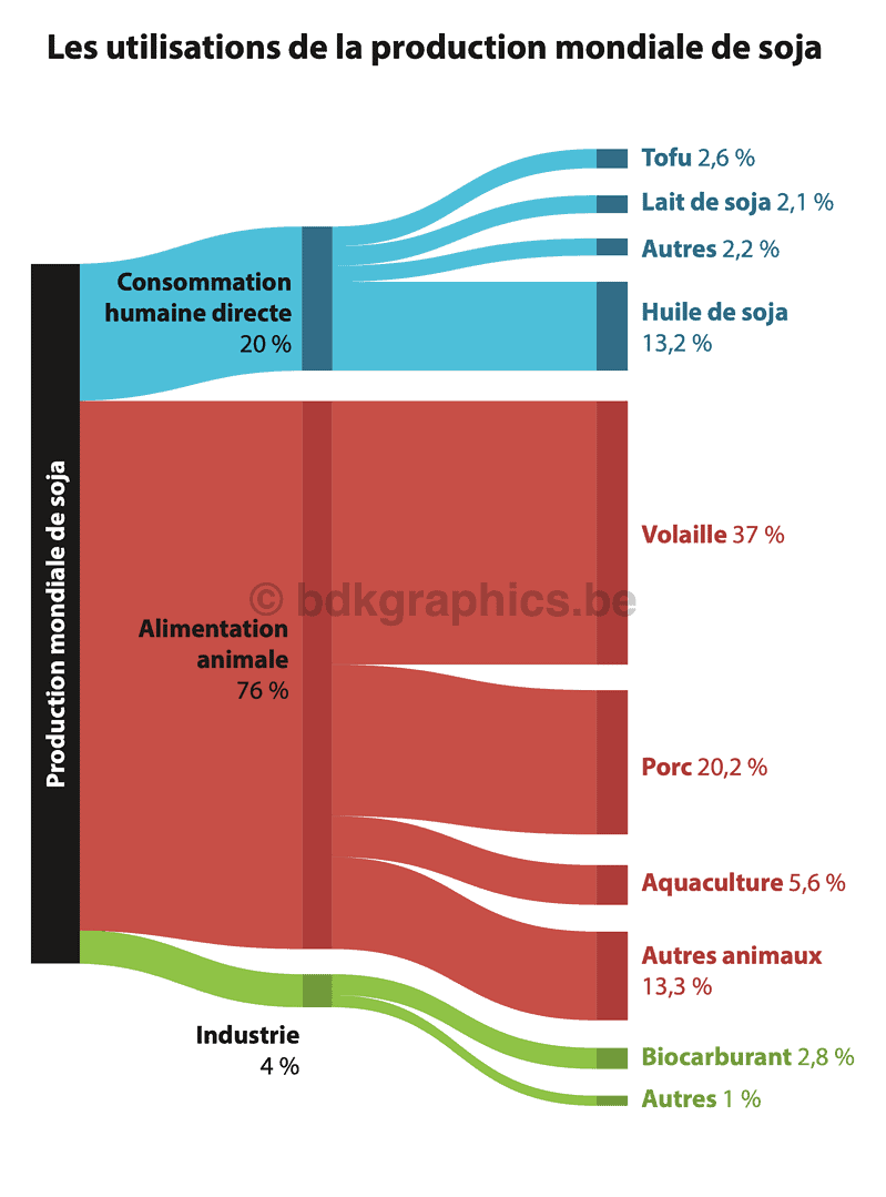 A diagram of different colored lines.