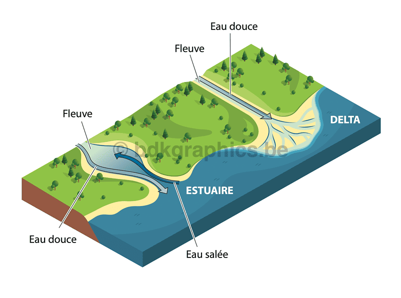 Een diagram van een rivier.